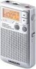 Sangean DT-250 FM radio Zilver online kopen
