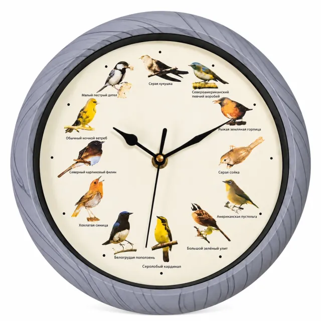 SWGOTA Grijze ronde wandklok met vogelgeluiden, diameter 25 cm, Russische wijzerplaat met 12 vogelafbeeldingen en automatische nachtelijke geluidspauze Grijs