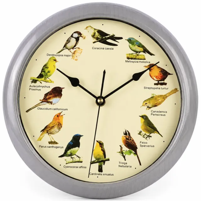 SWGOTA Grijze vogelwandklok 25 x 25 x 4 cm - Engelse uitvoering met 12 vogelgeluiden, uursignaal en nachtelijke geluidspauze Grijs