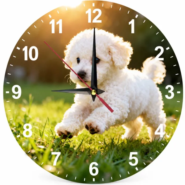 SWGOTA Ronde acryl wandklok 20 cm met bichon op gras, witte cijfers, zwarte wijzers en rode secondewijzer Groen