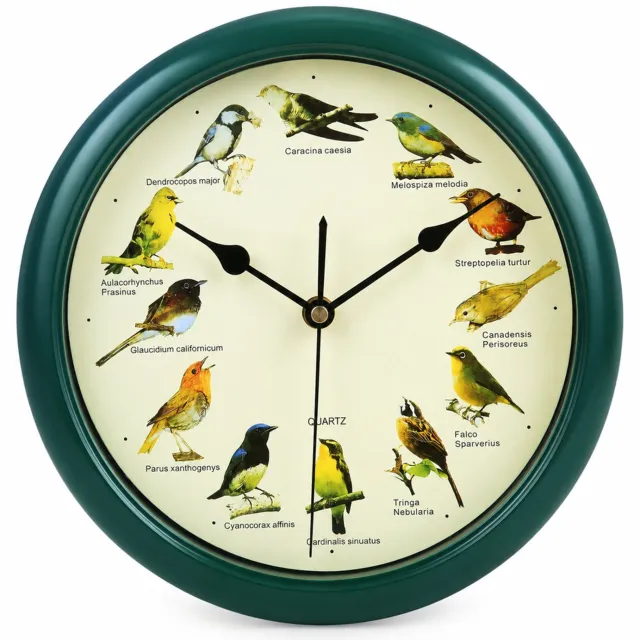 SWGOTA Donkergroene wandklok 25 x 25 x 4 cm met 12 vogelgeluiden, vogelgeluid op het hele uur en nachtelijke geluidspauze