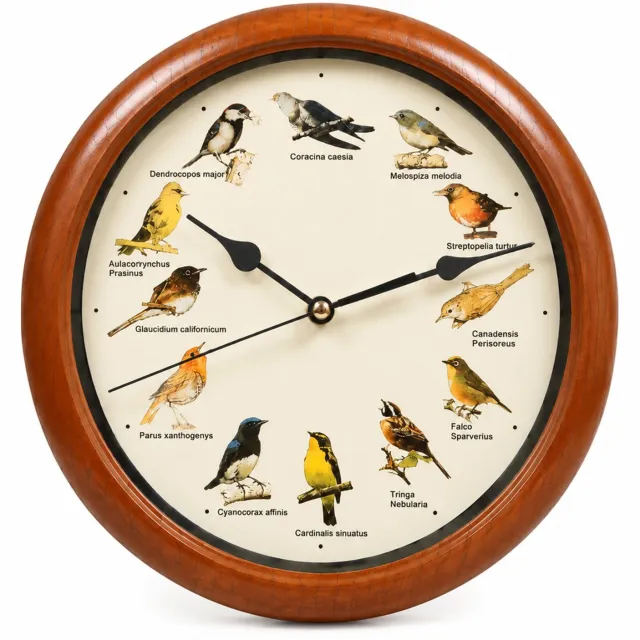 SWGOTA Wandklok met 12 vogelgeluiden - 25 x 25 x 4 cm - Rond met wijzers en vogelmotieven - Uursignaal en nachtelijke geluidsonderbreking Brons