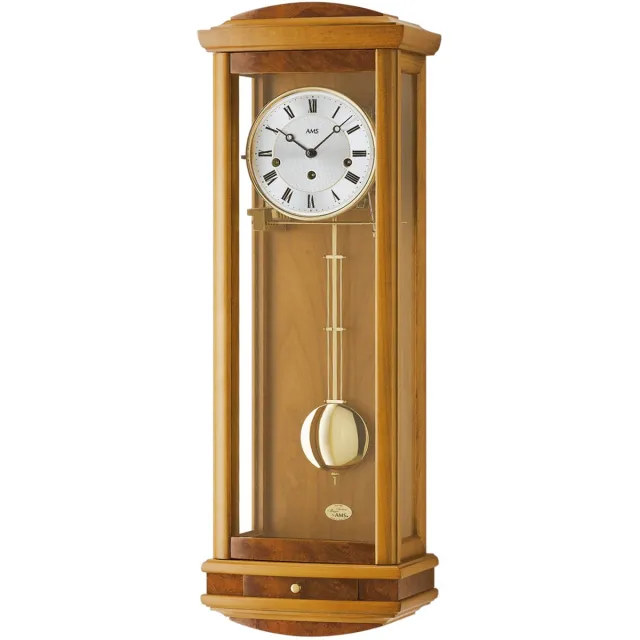 AMS regulateur Bruin