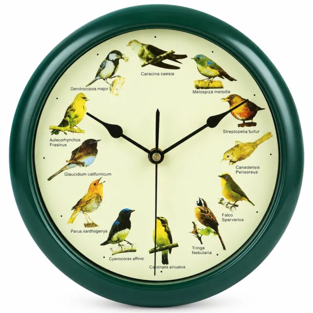 SWGOTA Vogelwandklok 25 cm - Engelse uitvoering - 12 vogelgeluiden - Automatische nachtdemping - Rond en donkergroen