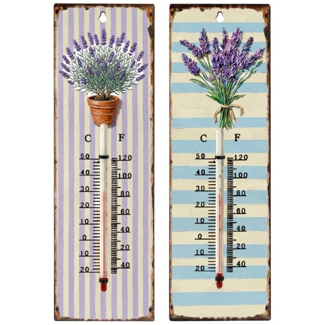 Signes Grimalt thermometers lavendel set 2 Multicolour